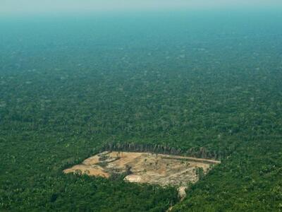 Colombia perdió 1.4 millones de bosques en la Amazonia en los últimos 34 años