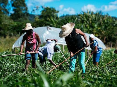 Comunidades: El actor invisibilizado de la Agricultura Familiar