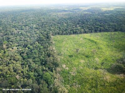 Controversia por cifra de deforestación en la Amazonia colombiana