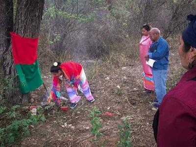 Cuidar la tierra, curar con plantas: crónicas del feminismo comunitario en Jujuy