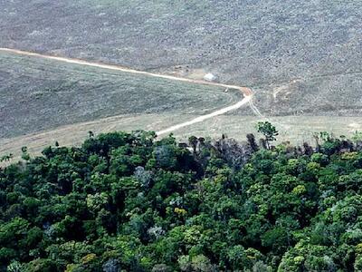 Área desmatada na Amazônia só em outubro é do tamanho de Belo Horizonte e Porto Alegre - Paulo Pereira/Greenpeace.