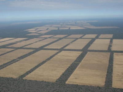 Desoladora vista aérea del Chaco marcada por la deforestación