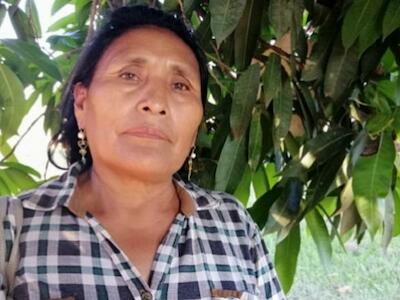 Dirigentes amazónicos rechazan decreto que autoriza desmontes en Beni y Santa Cruz