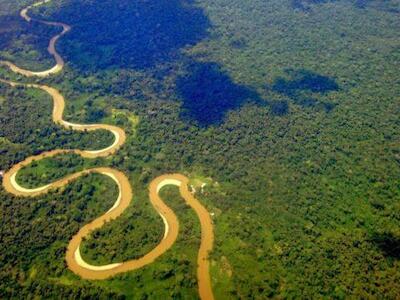 Ecuador fue criticado por su plan para extraer petróleo en la Amazonía