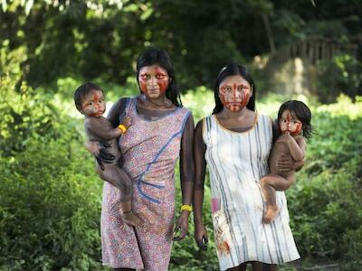 El 48% de los bosques de Centroamérica son defendidos por pueblos indígenas