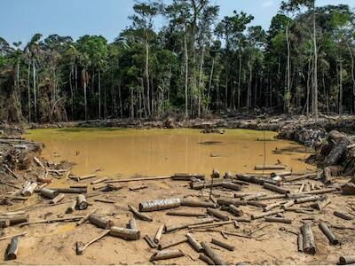 El 85% de la deforestación en Colombia se concentra en la Amazonia