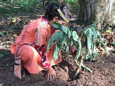 Mujeres de 20 pueblos indígenas de la Amazonía Peruana crearon un manual, biohuertos y una farmacia indígena para atender enfermedades como el COVID-19. Foto: Programa Mujer de Aidesep