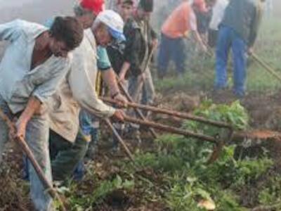 Governo Bolsonaro recua e cancela suspensão da reforma agrária