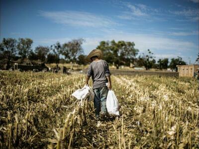 La agricultura familiar produce 80% de los alimentos del mundo