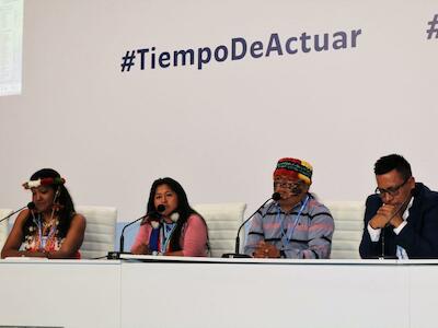 La máxima organización de la Cuenca Amazónica declaró emergencia climática territorial