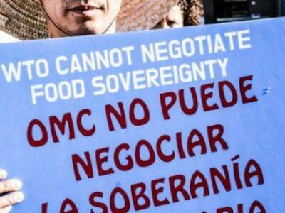 La Vía Campesina llama a la movilización contra la OMC y los tratados de libre comercio