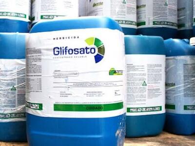 Malas noticias para Monsanto, de Bayer: Chubut prohíbe el glifosato