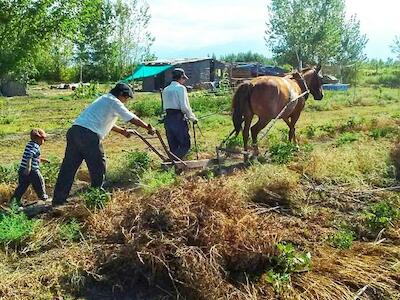 Mendoza: “20 años trabajando la tierra para que el estado la venda”