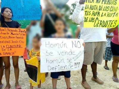 México: Suspende juez operación de megagranja porcícola sobre los cenotes de Homún para proteger a la infancia
