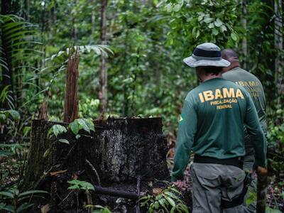 Agentes medioambientales brasileños identifican zonas deforestadas en el territorio indígena Pirititi, en el estado de Roraima, en 2018. La deforestación ilegal es una de las mayores amenazas para la Amazonía (Imagen: Felipe Werneck / Ibama, CC BY-SA)