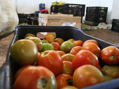 Ministério da Agricultura encontra resíduos de agrotóxicos acima do permitido ou proibidos em 7% dos alimentos