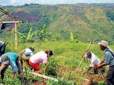 Ministerio de agricultura anuncia alivios para 34.000 familias campesinas