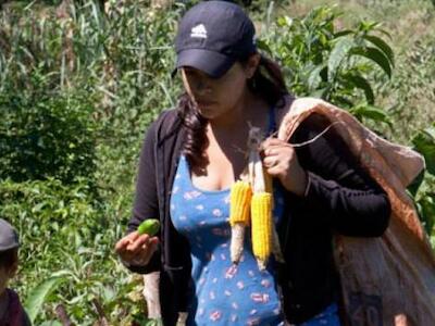 Mujeres que sobreviven al modelo del agronegocio: proyectos e iniciativas desde las corporaciones