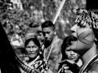 Mulheres indígenas, raiz e tronco da luta pelo território