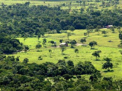 Não à regularização de terras griladas no estado do Pará