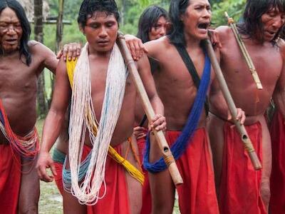 Ni una gota más: no más asesinatos de líderes indígenas en Brasil