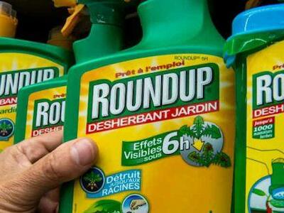 Nueva demanda colectiva contra Monsanto por el glifosato