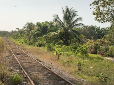 Vías férreas en el municipio de Palenque, Chiapas. En el lugar se pretende construir la primera estación del “tren maya”.