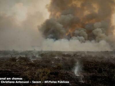 Pantanal em chamas: seca está relacionada ao desmatamento na Amazônia