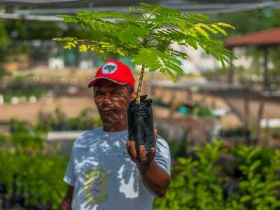 Produzir alimentos saudáveis e plantar árvores: a Reforma Agrária Popular no combate ao Coronavírus