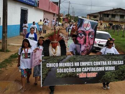 Pueblos de la Amazonia denuncian invasiones del capital verde
