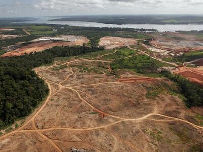 Queimadas e desmatamento na Amazônia destroem área 2 vezes maior que o RJ