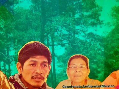 Siguen muriendo en México activistas ambientales (peleando una lucha que es de todos)