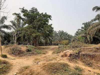 Sin agua en la comunidad Q´eqchi´en El Estor, Izabal por la expansión de palma africana
