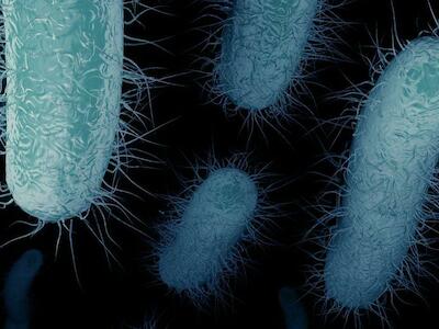 Superbacterias: fuerte advertencia de los infectólogos por otra consecuencia de la pandemia