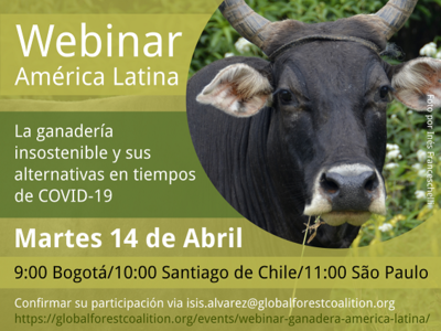 Webinario América Latina: La ganadería insostenible y sus alternativas en tiempos de COVID-19