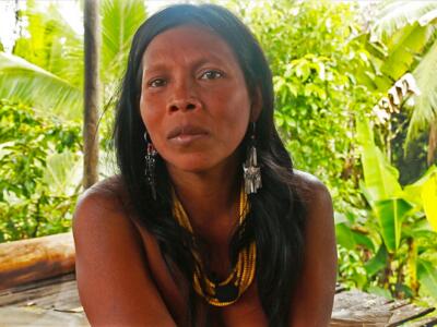 66% de los pueblos indígenas está a punto de desaparecer