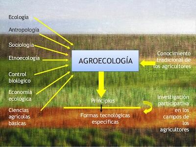 agroecologia la garbancita ecologica