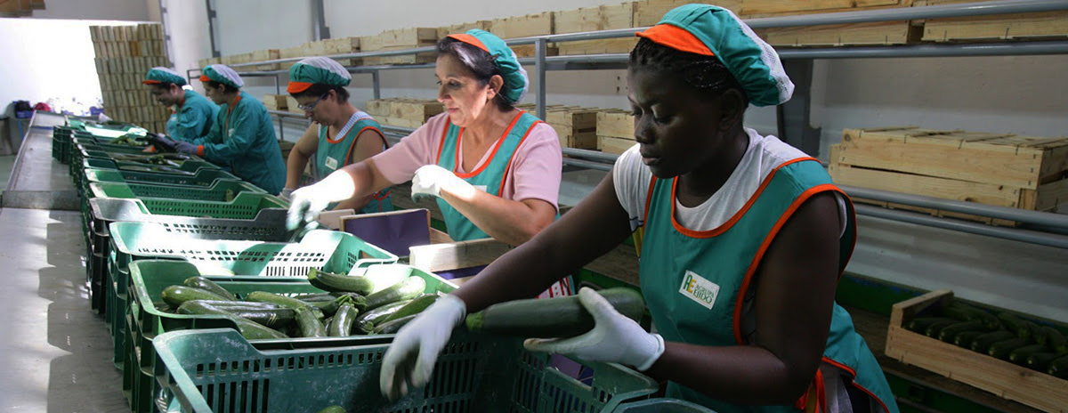 cadenas de suministro en nicaragua biodiversidad en am 233 rica latina la migraci 243 n una pieza cadenas de suministro en nicaragua biodiversidad en am 233 rica latina la migraci 243 n una pieza