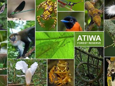 atiwa-forest-reserve