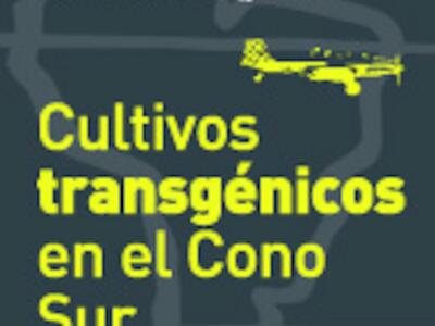 Banner Seminario Trans Cono Sur (2)