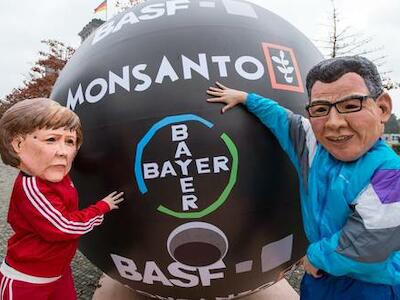 bayer - Monsanto