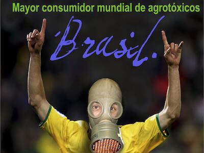 brasil_consumidor_agrotoxicos-610