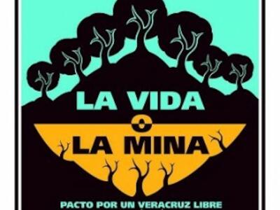 cartel-La-Vida-o-La-Mina-313x310