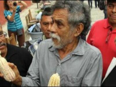 Con ‘tamaliza’ participa Francisco Toledo en defensa del maíz nativo en Oaxaca