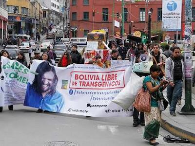 Controversia por alimentos transgénicos en Bolivia