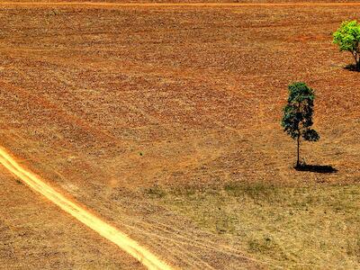deforestación Brasil