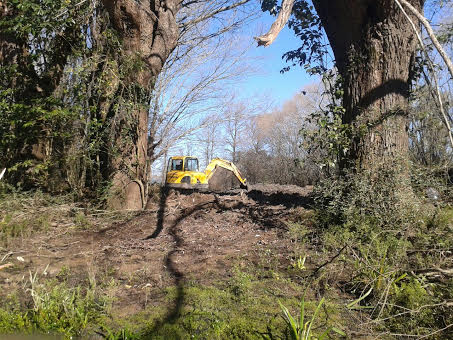 Argentina: En el Delta de Tigre las obras de megaemprendimientos ... - Biodiversidad en América Latina