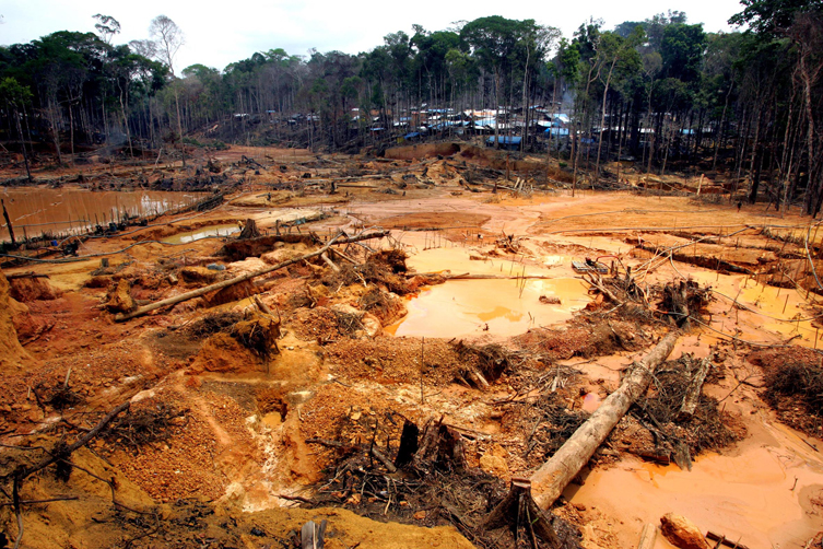02 Cite Os Principais Impactos Ambientais Causados Pelo Desmatamento