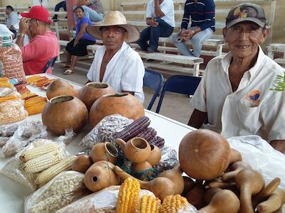 Feria de semillas - México