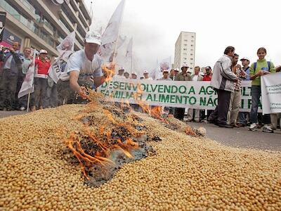 gmo-brazil-soybeans
